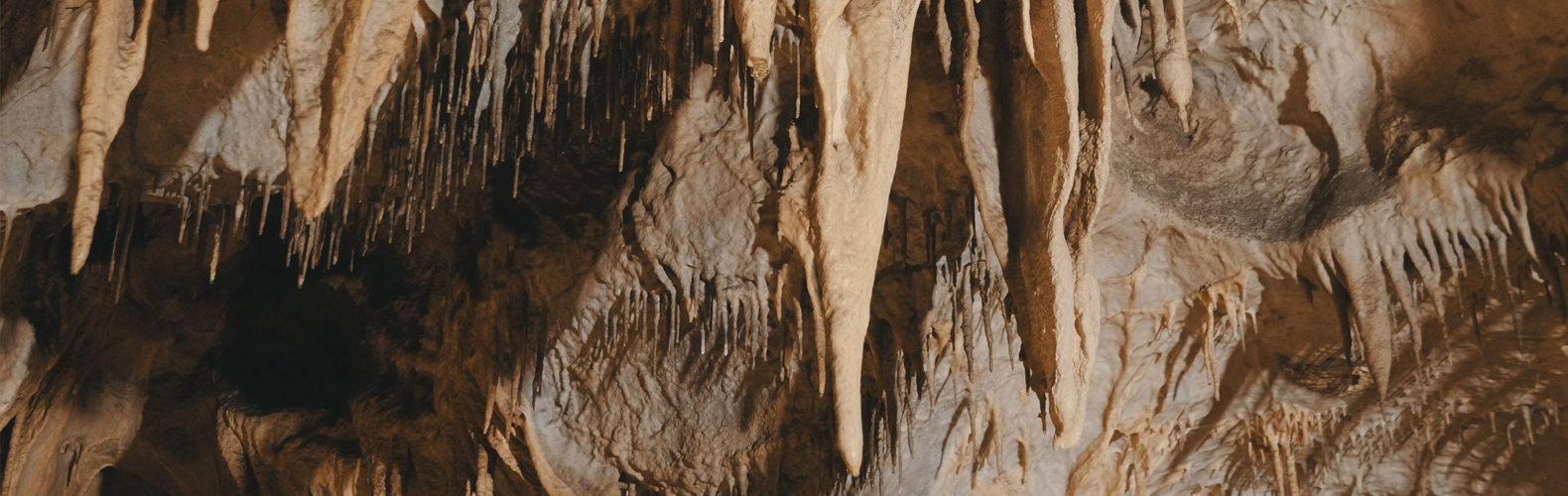 Zengo - Film & Visual